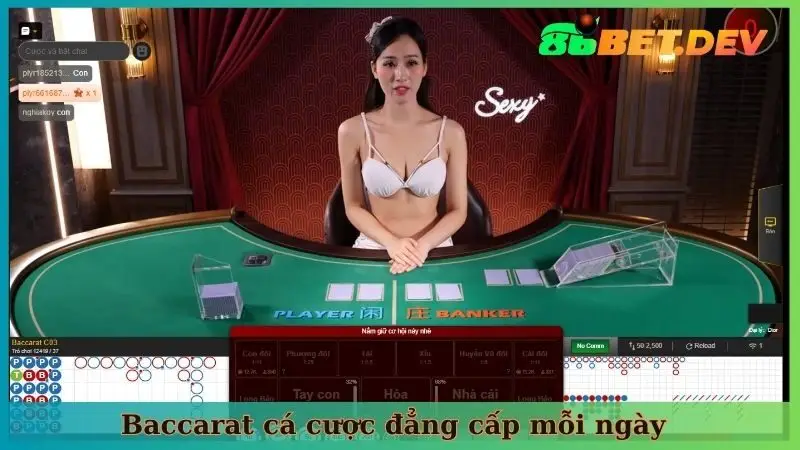 Baccarat cá cược đẳng cấp mỗi ngày