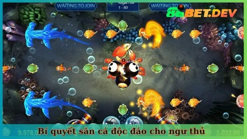 Bí quyết săn cá độc đáo cho ngư thủ