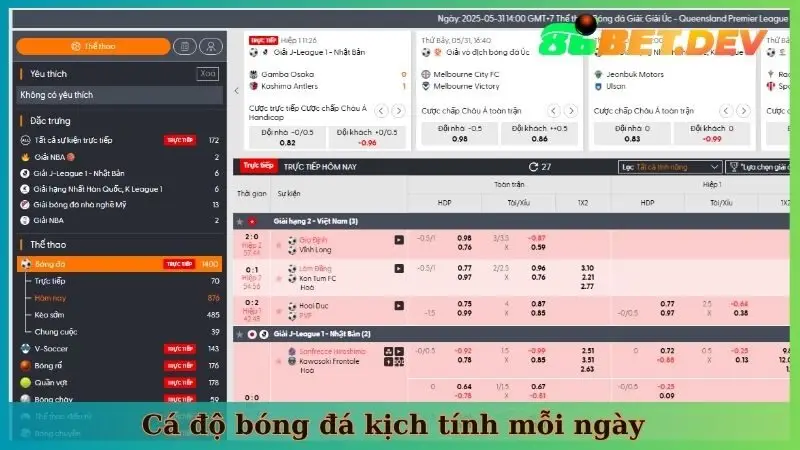 Cá độ bóng đá kịch tính mỗi ngày
