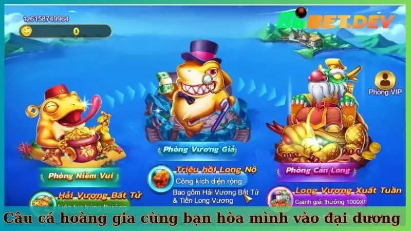 Câu cá hoàng gia cùng bạn hòa mình vào đại dương