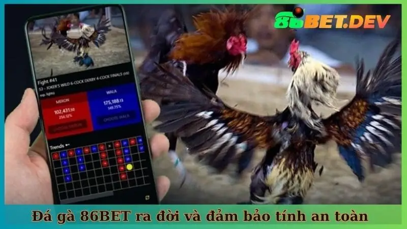 Đá gà 86BET ra đời và đảm bảo tính an toàn