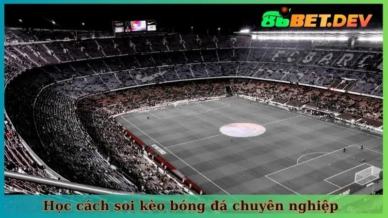 Học cách soi kèo bóng đá USL League One chuyên nghiệp