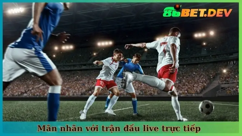Mãn nhãn với trận đấu live trực tiếp 