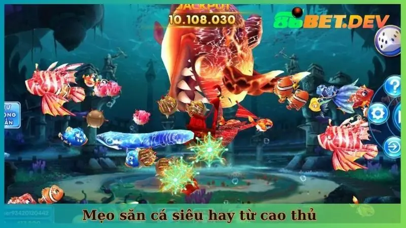 Mẹo săn cá siêu hay từ cao thủ