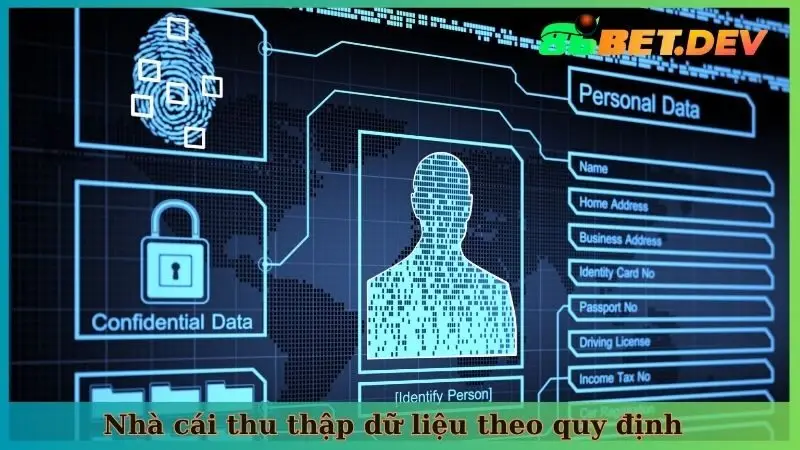 Nhà cái thu thập dữ liệu theo quy định