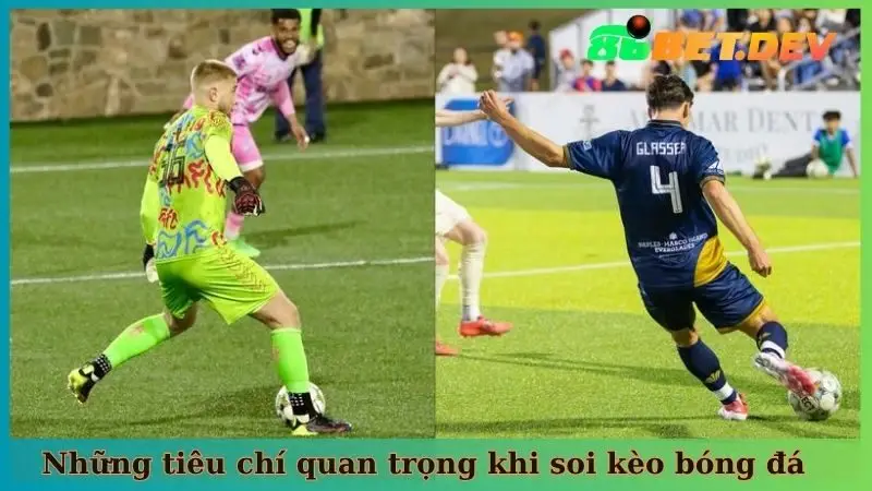Những tiêu chí quan trọng khi soi kèo bóng đá USL League One