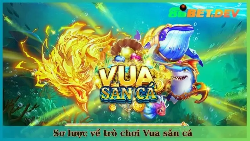 Sơ lược về trò chơi Vua săn cá