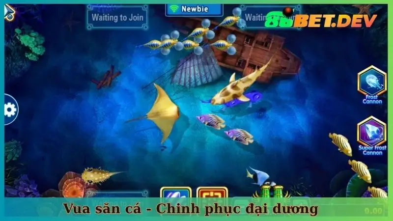 Vua săn cá - Chinh phục đại dương